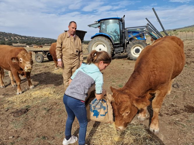 eeddae39-2efd-4c4b-9bd2-950f4644aa4d